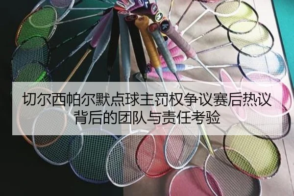 切尔西帕尔默点球主罚权争议赛后热议背后的团队与责任考验