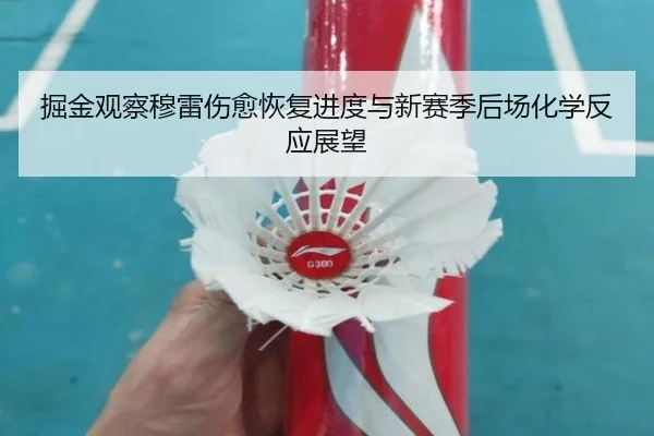 掘金观察穆雷伤愈恢复进度与新赛季后场化学反应展望