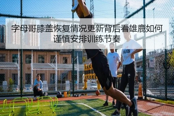 字母哥膝盖恢复情况更新背后看雄鹿如何谨慎安排训练节奏